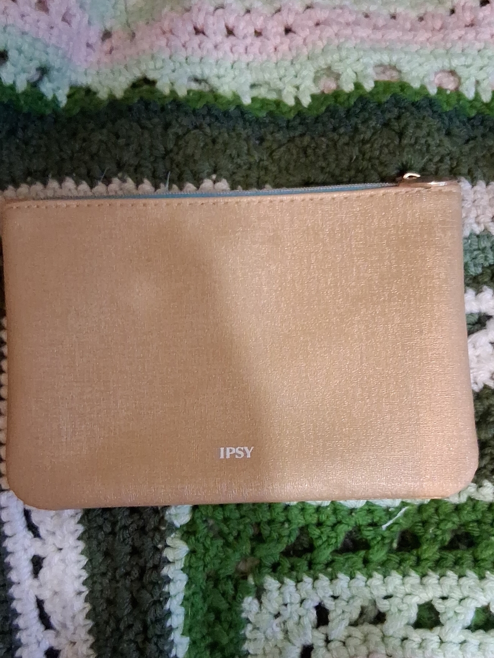 IPSY Case
